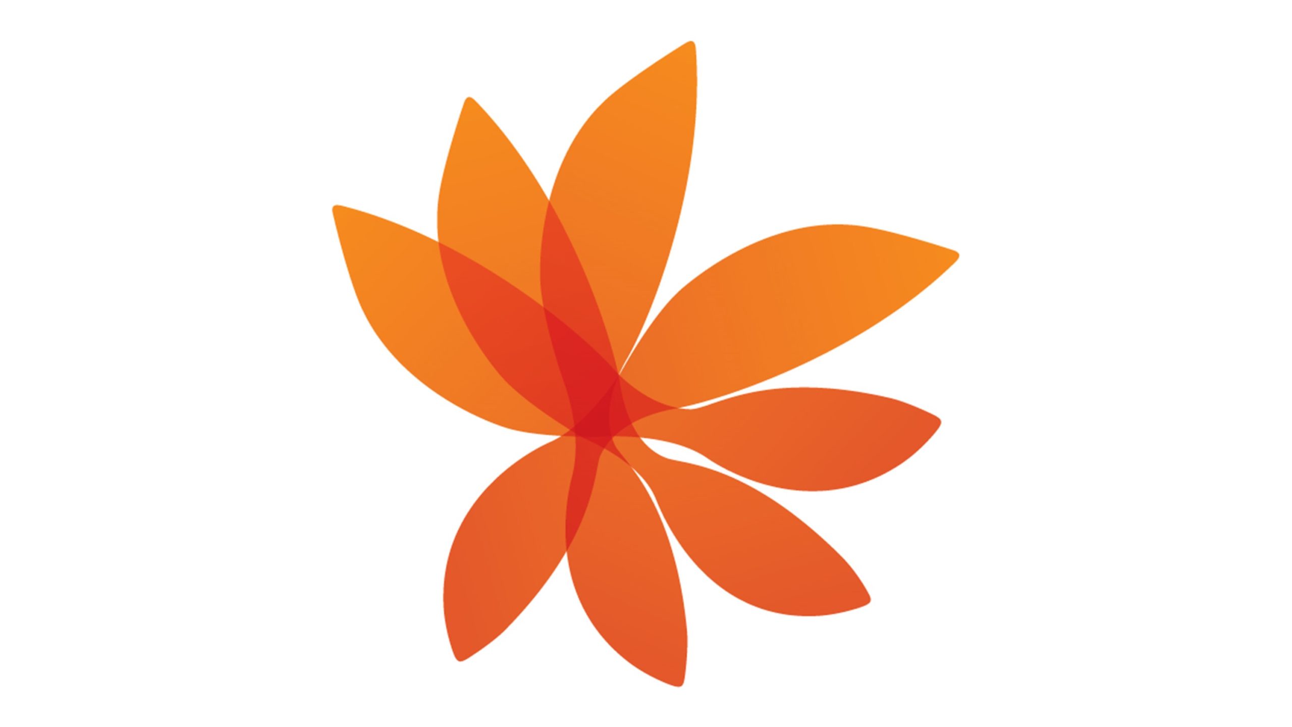 flower flower